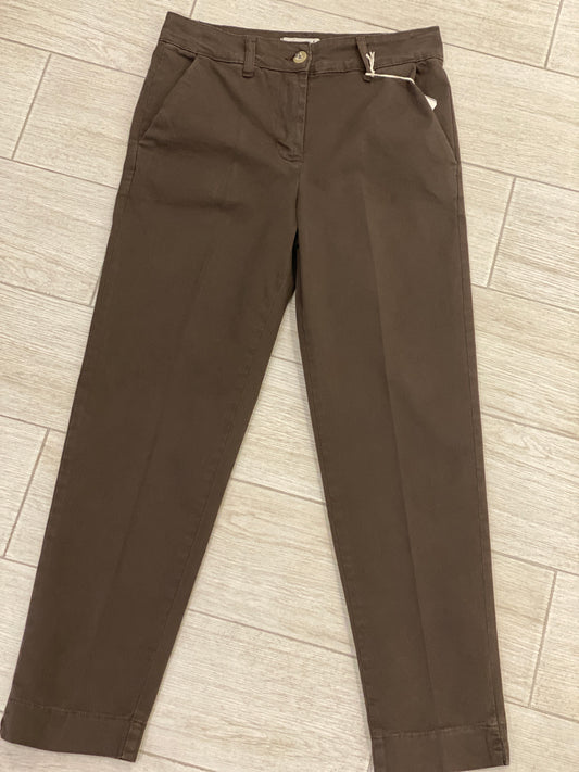 Pant marrone