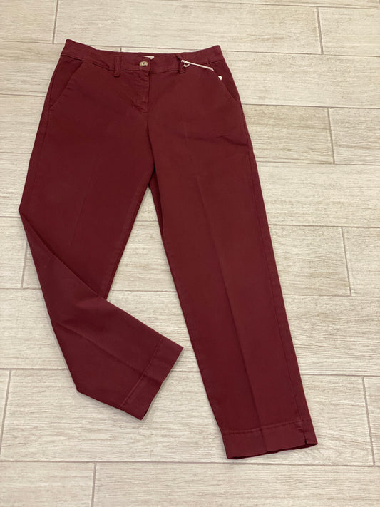 Pant bordeaux